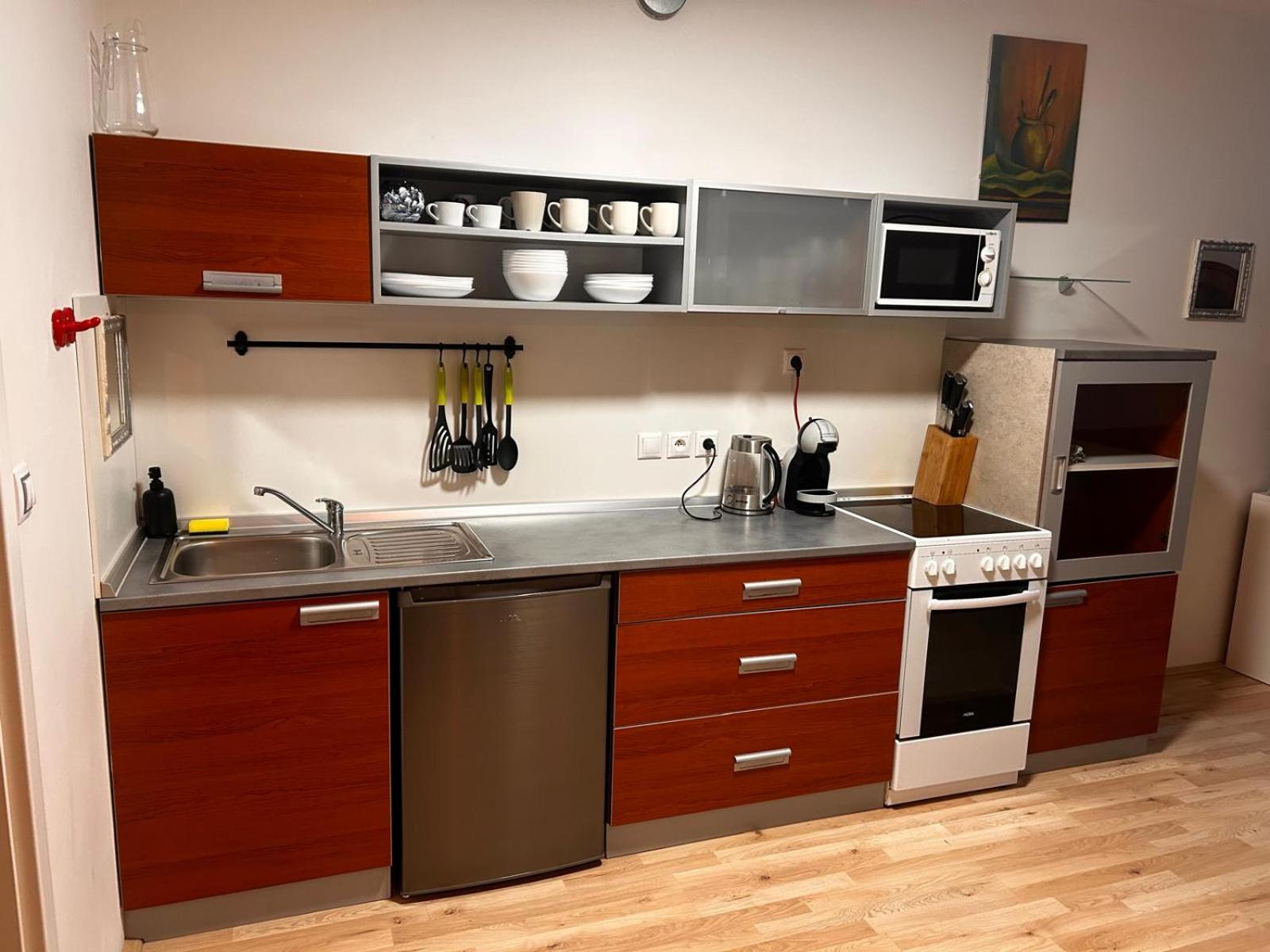 Apartman Mirka Dolni Morava Bagian luar foto